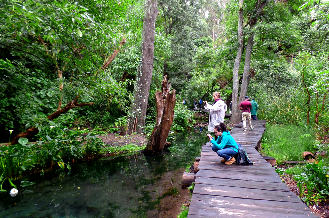 Ecoturismo en Tlaxcala – Turismo a Fondo