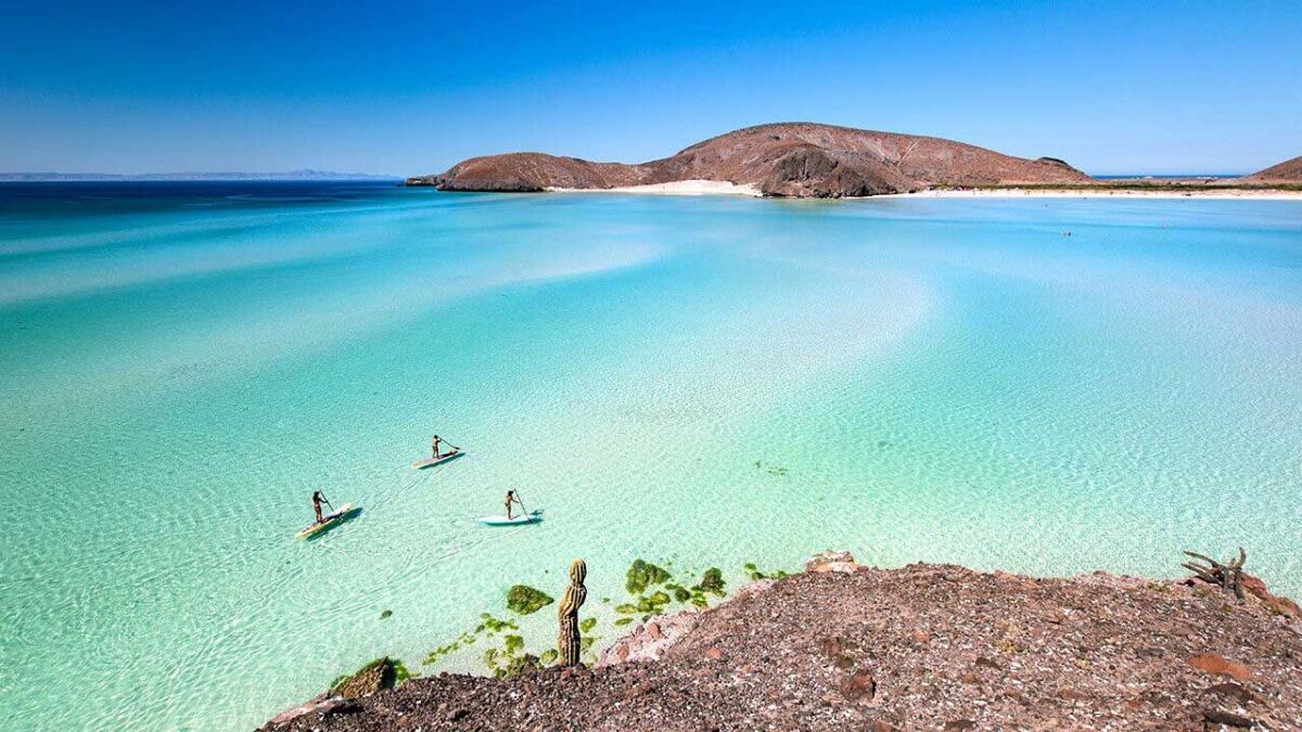 Playa Balandra De Las Playas Más Famosa De Baja California Sur Turismo A Fondo