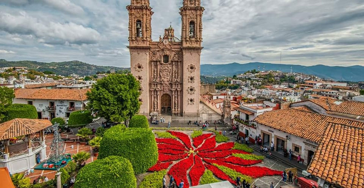La Flor de Nochebuena es símbolo de la navidad y en Taxco se muestra la más  grande del mundo - Turismo a Fondo
