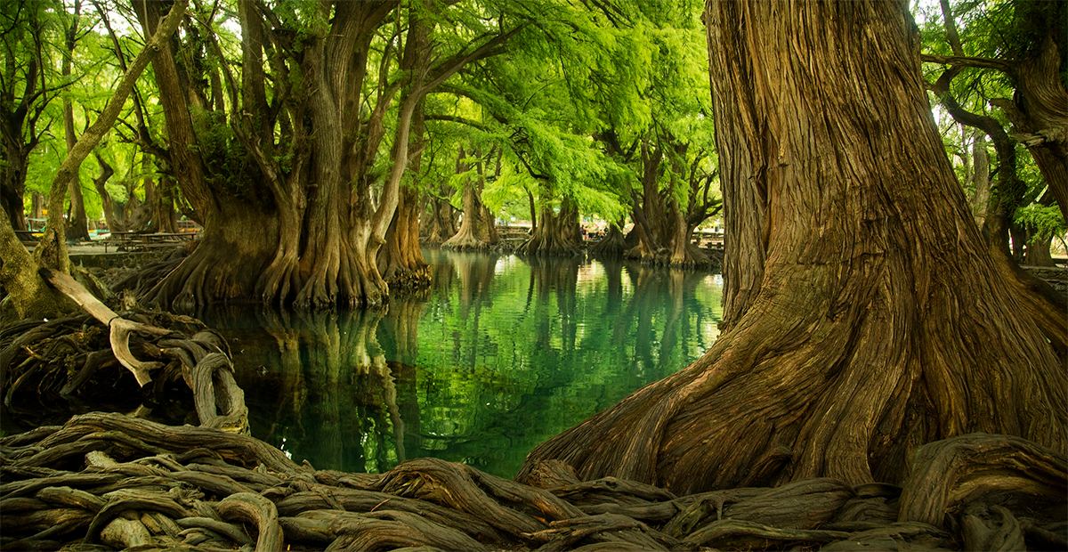 Camécuaro, un lugar mágico y con una gran leyenda