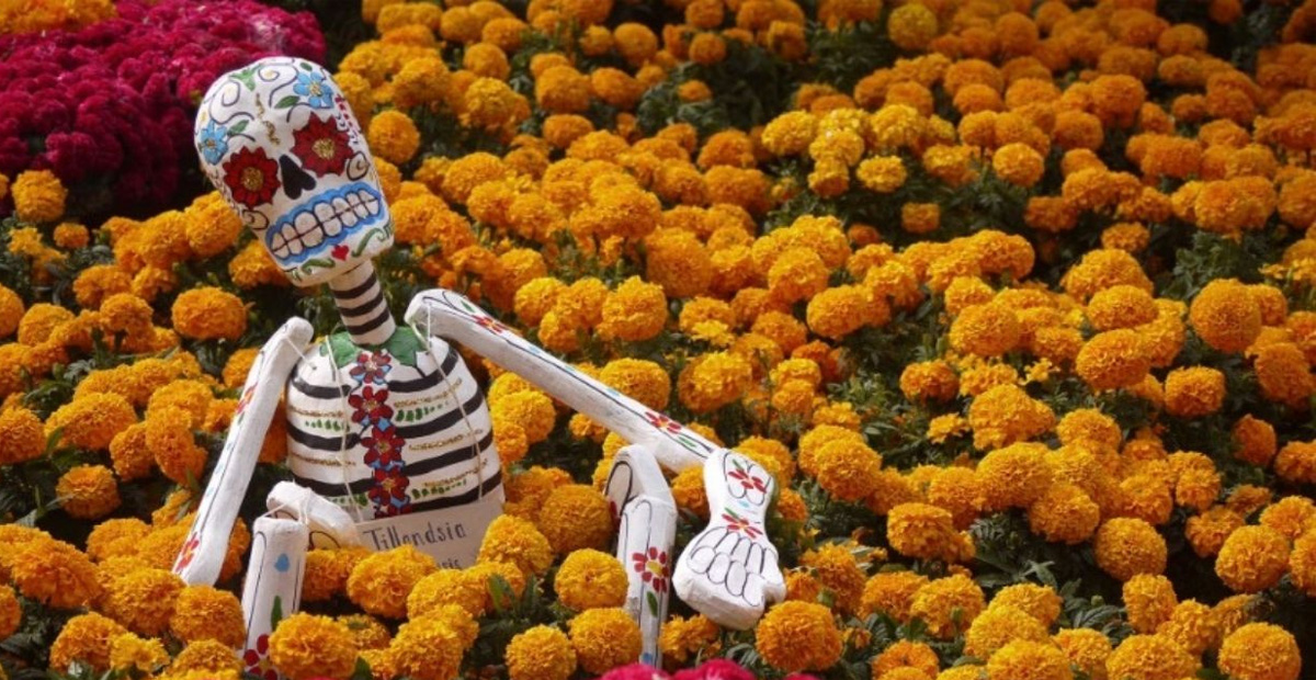 La Flor de Cempasúchil es un ícono de México - Turismo a Fondo