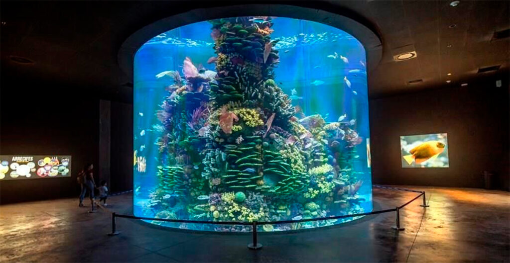 Inauguran el Acuario más grande de América Latina en Mazatlán - Turismo ...