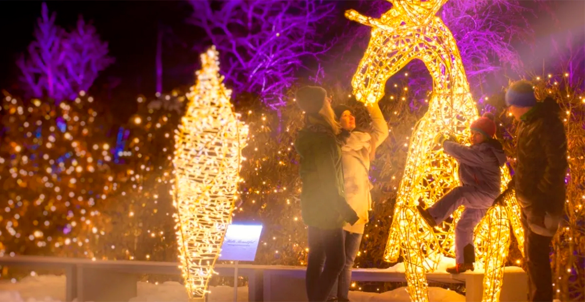 Iluminación Mágica en Aguascalientes con Lumágica: Un Espectáculo Navideño Único