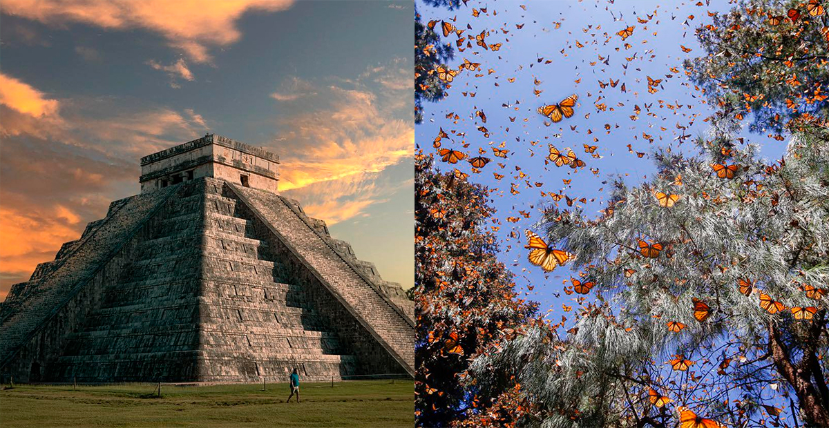 El New York Times destaca a México: Yucatán y la Reserva de la Mariposa Monarca entre los 52 lugares para visitar en 2024