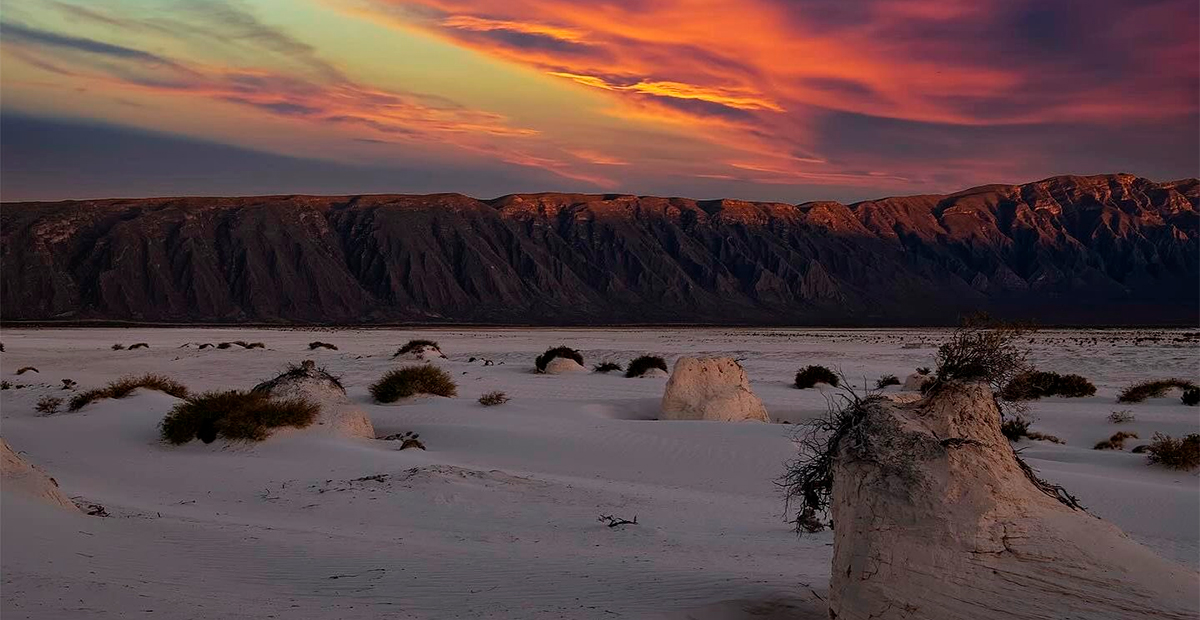 Las Dunas de Yeso en Cuatro Ciénegas: Un desierto blanco único en México