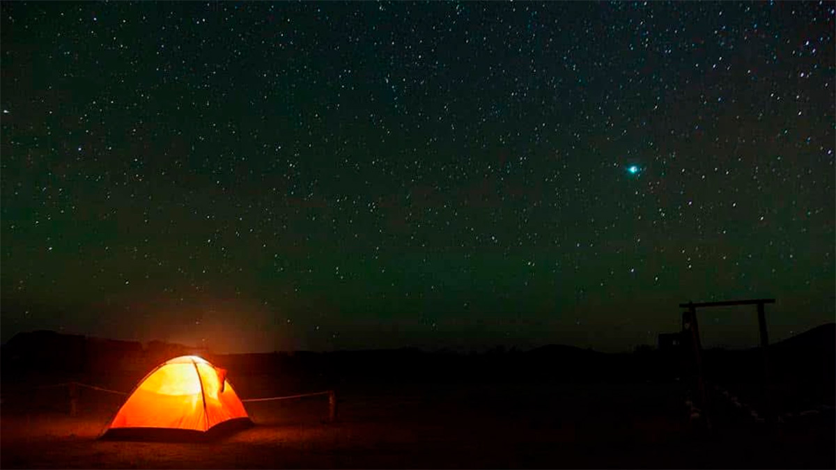 Más allá del misterio: la increíble biodiversidad de la Zona del Silencio