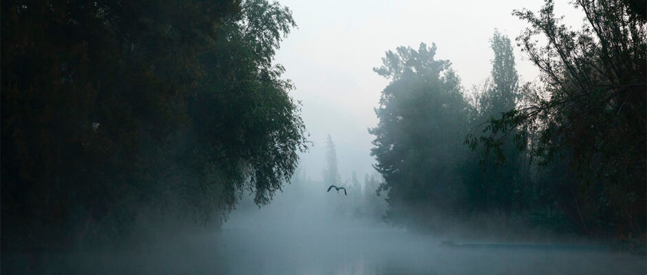 Xochimilco: más allá de las trajineras, un viaje por su historia, cultura y naturaleza