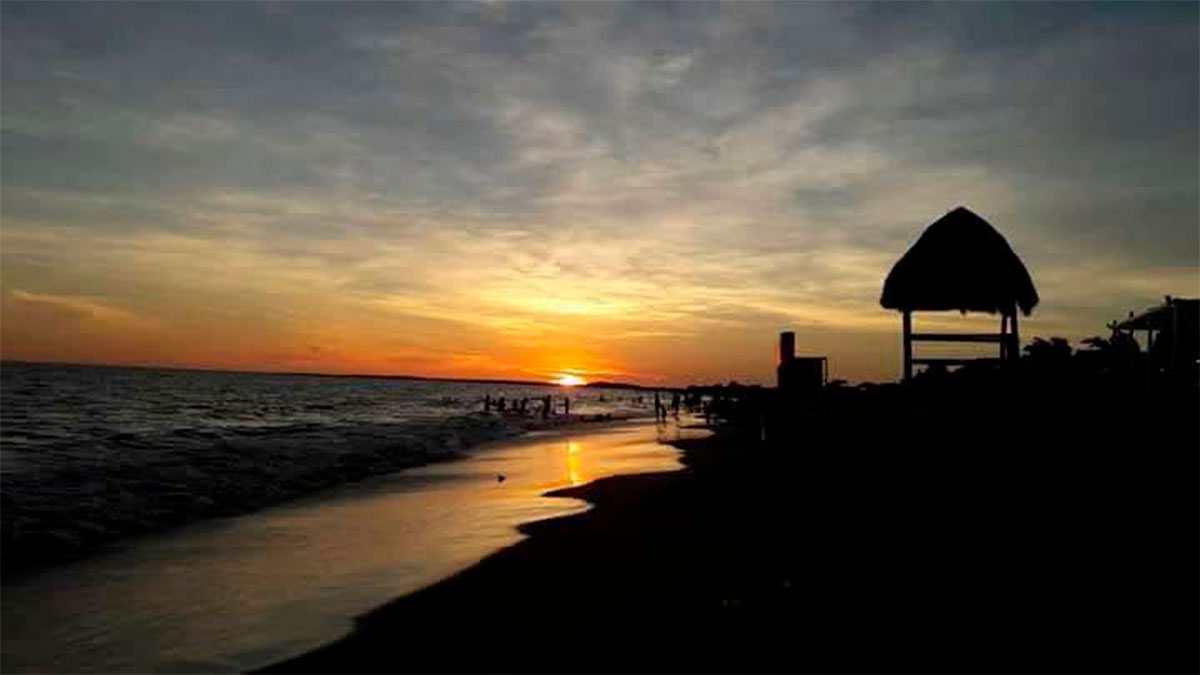 Isla El Maviri: Naturaleza viva entre el mar y el manglar