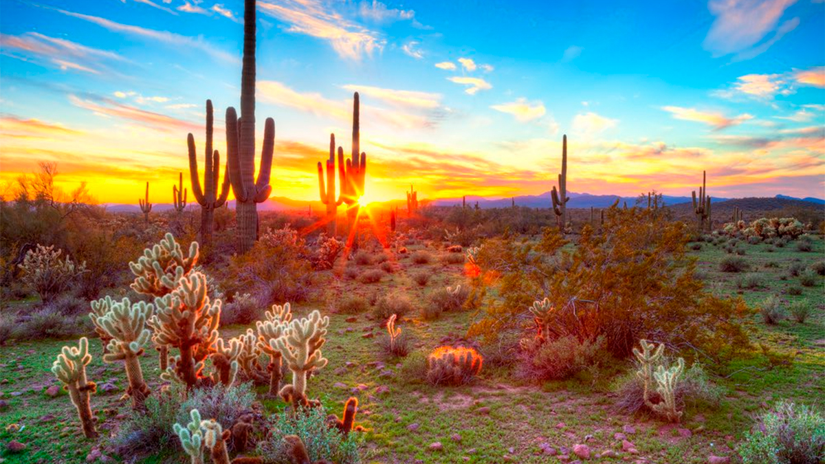 El Pinacate y el Gran Desierto de Altar: Un Viaje al Corazón del Desierto Sonorense
