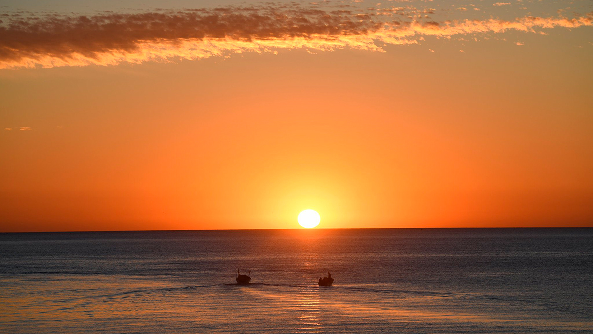 Ensenada, joya del Pacífico: vino, mar y aventura en un solo destino