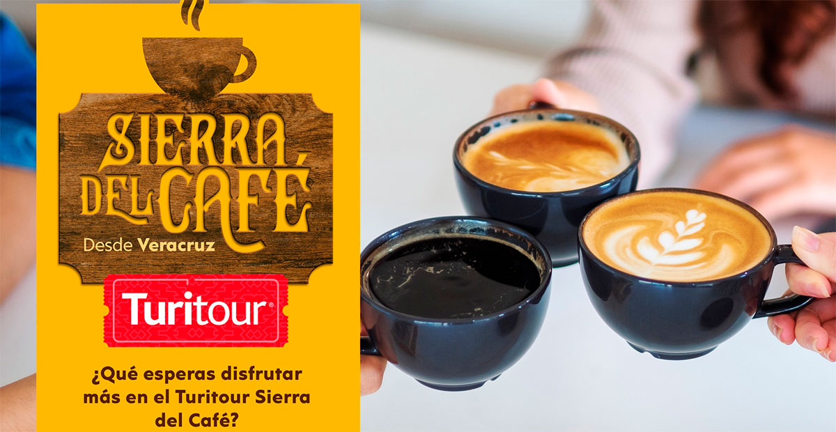 Turitour Sierra del Café: Un viaje sensorial por los cafetales de Veracruz