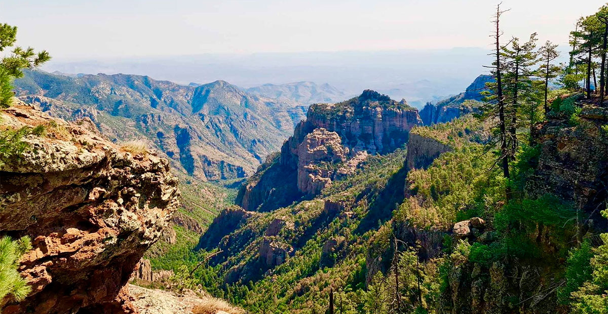 Maderas del Carmen, Coahuila: Un santuario natural en el desierto que protege el alma del norte de México