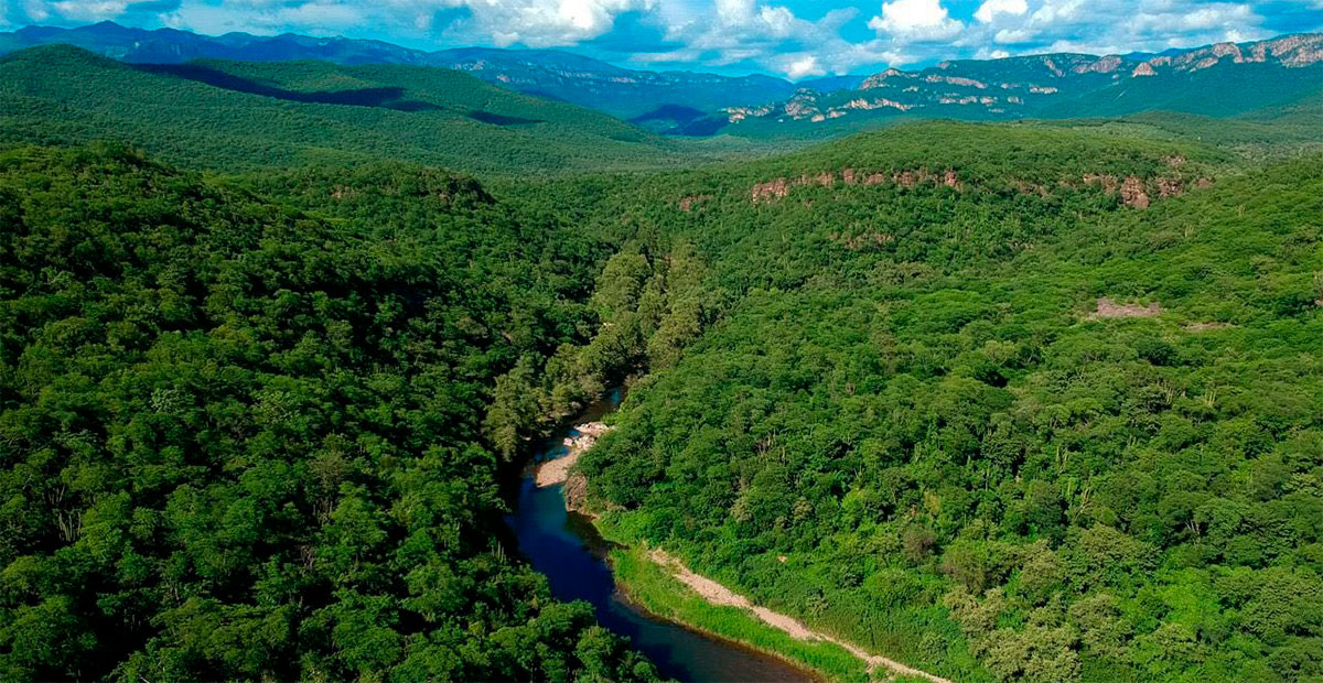 Sierra de Álamos–Río Cuchujaqui: Naturaleza viva, cultura y aventura en el corazón de Sonora