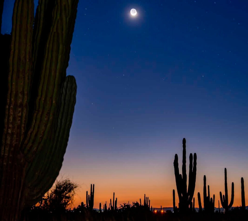 El Pinacate y Gran Desierto de Altar: un viaje al corazón volcánico de Sonora