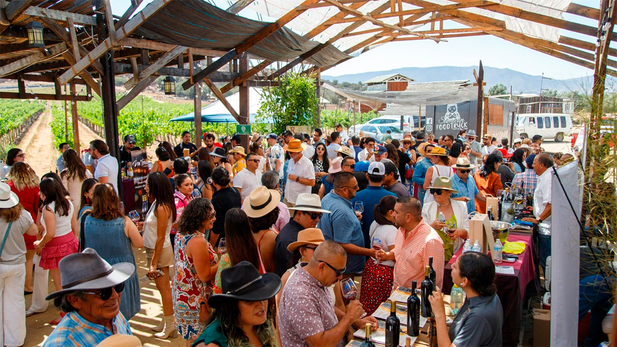 “Revisiones”: Vino, Arte y Música se Unen en el Corazón del Valle de Guadalupe
