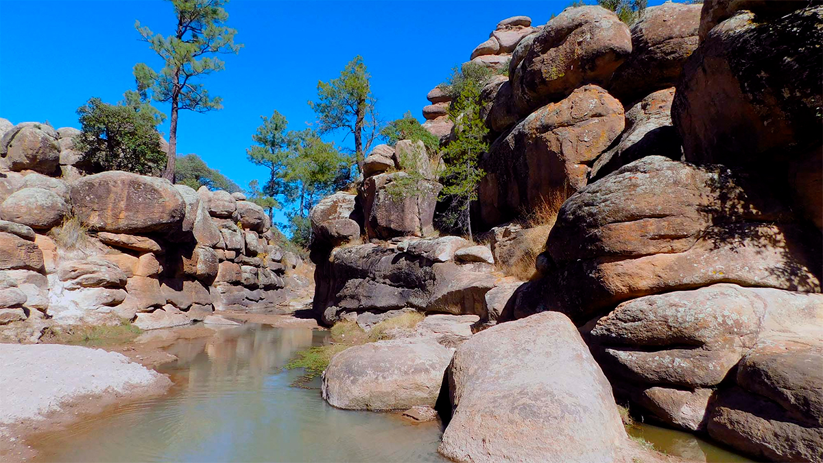 Descubre el Parque Nacional Cumbres de Majalca en Chihuahua