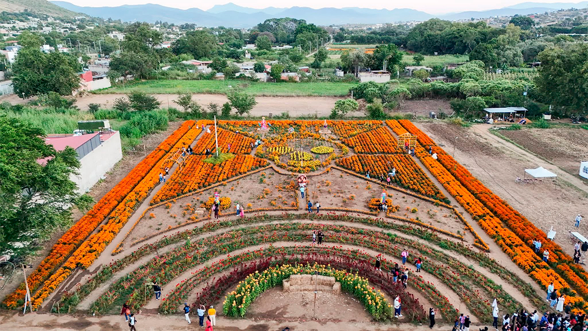 Oaxaca: el corazón del Día de Muertos en México late entre flores, pan y copal