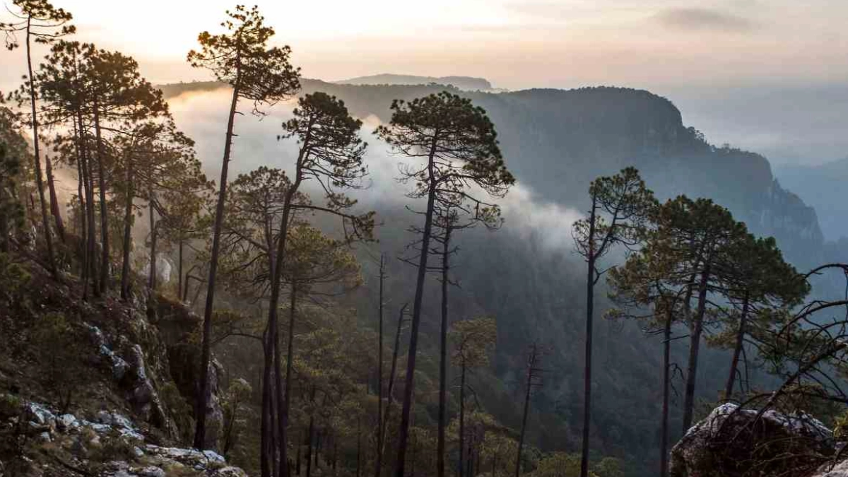 Minatitlán, Colima: un destino que enamora entre café, tradición y naturaleza viva