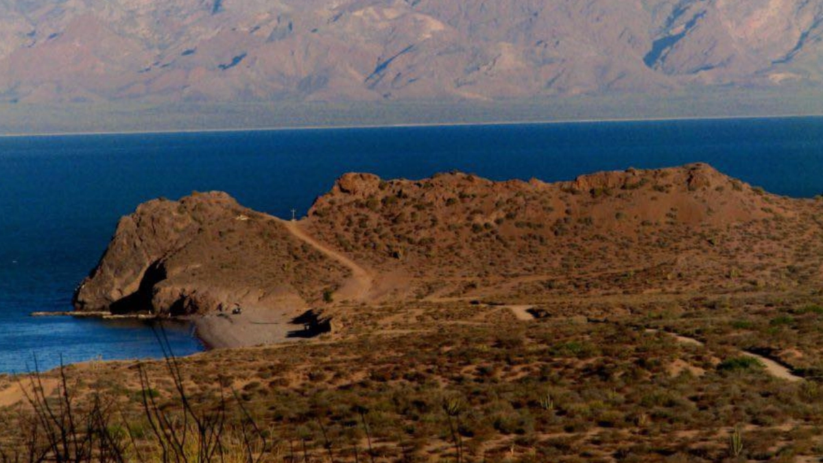 Isla Tiburón: el santuario natural más grande de México resguardado por la cultura seri