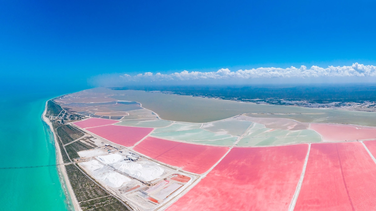 Ría Lagartos y Las Coloradas: el paraíso rosa que deslumbra en Yucatán