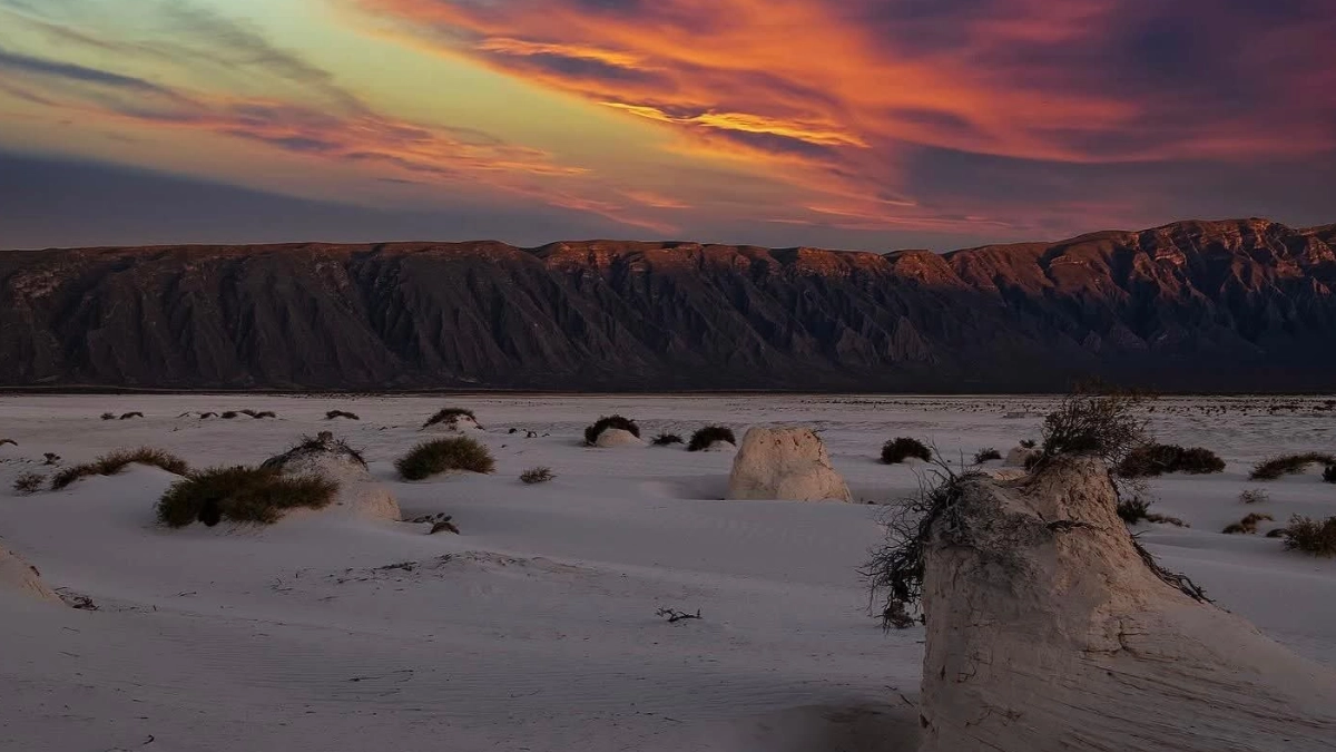 Cuatro Ciénegas celebra su aniversario entre dunas blancas y paisajes únicos del desierto coahuilense