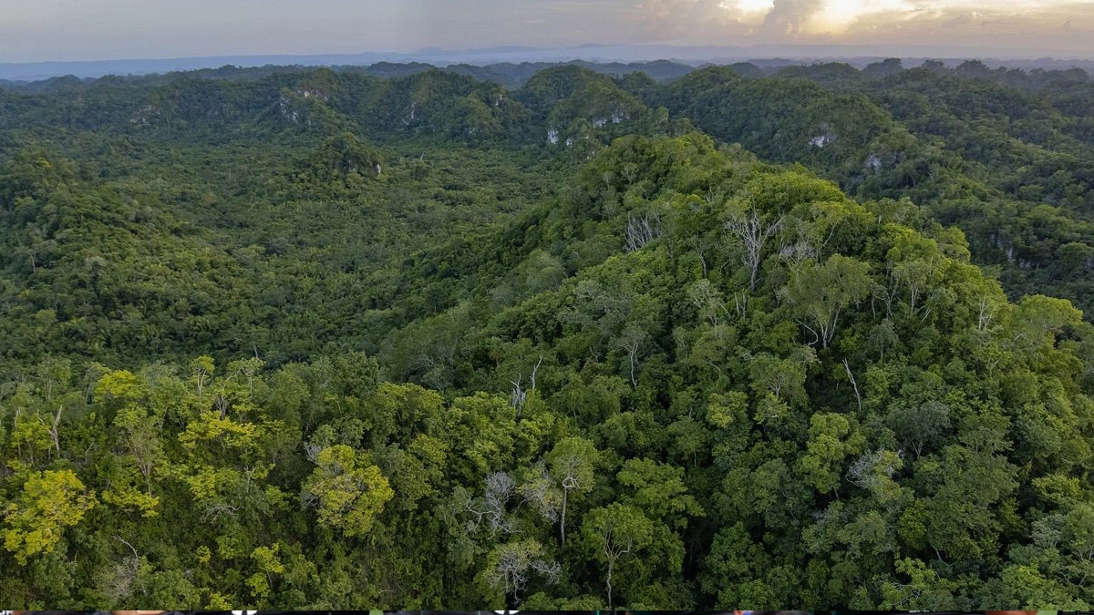 Selva Maya, el refugio natural de Yucatán que combina aventura, cenotes y naturaleza