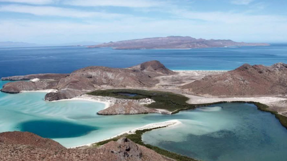 Las Islas y Áreas Protegidas del Golfo de California celebran 20 años como Patrimonio Mundial de la UNESCO