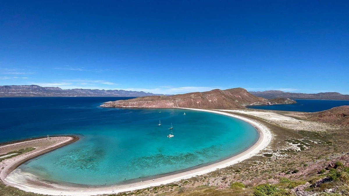 Mar de Cortés: el paraíso marino de México que conquista al mundo con su extraordinaria biodiversidad