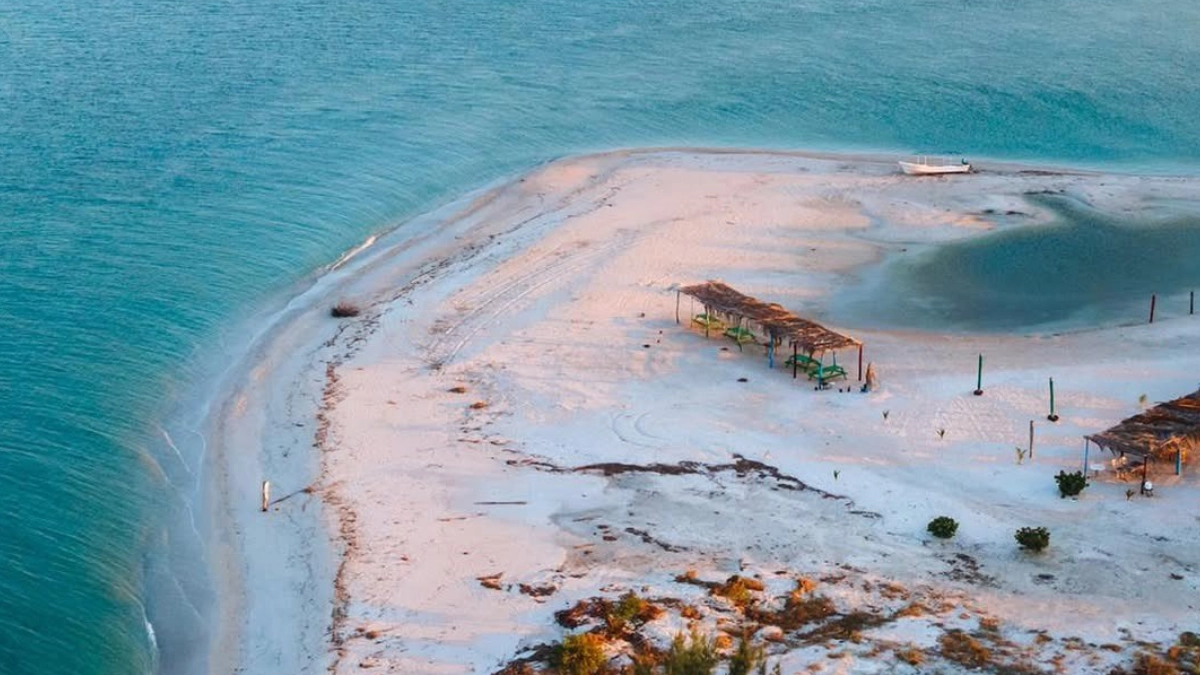 Isla Aguada: el Pueblo Mágico de Campeche donde puedes nadar con delfines en libertad