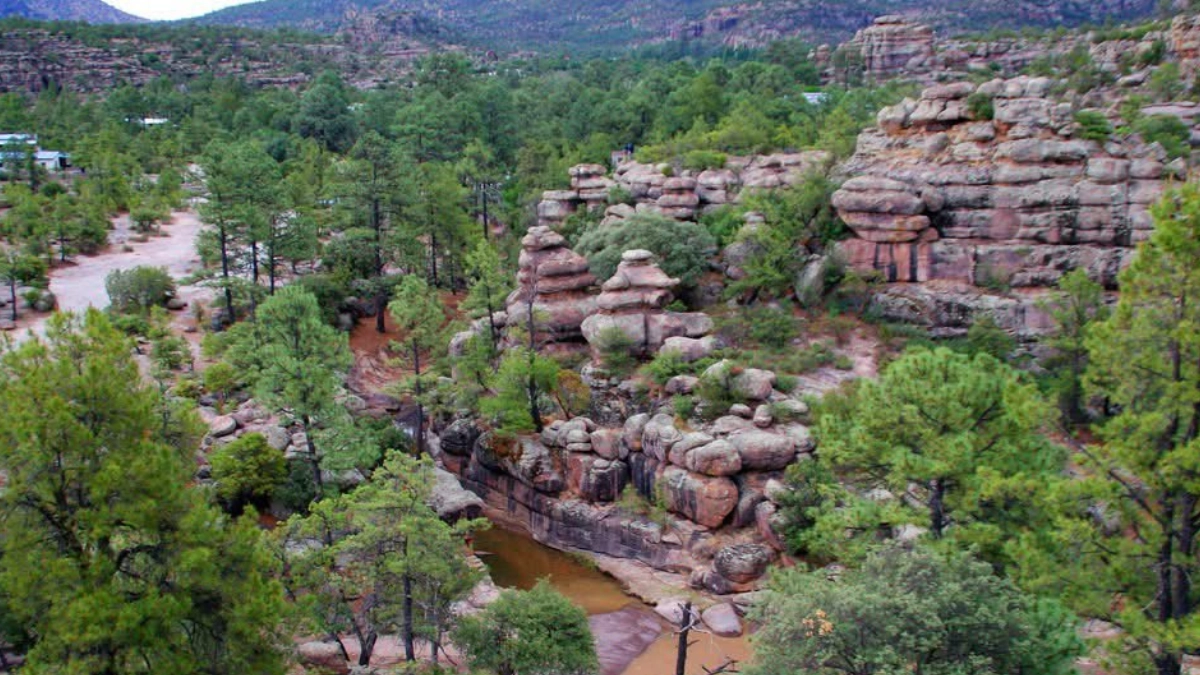Cumbres de Majalca: el paraíso natural de Chihuahua que resguarda una extraordinaria biodiversidad