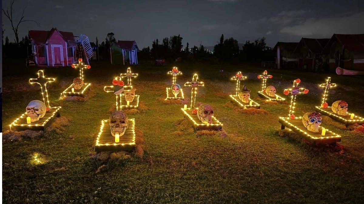 Terror en Xochimilco y drones en Chapultepec: experiencias para vivir el Día de Muertos en CDMX